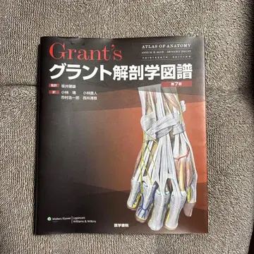 그랜트 해부학 도보