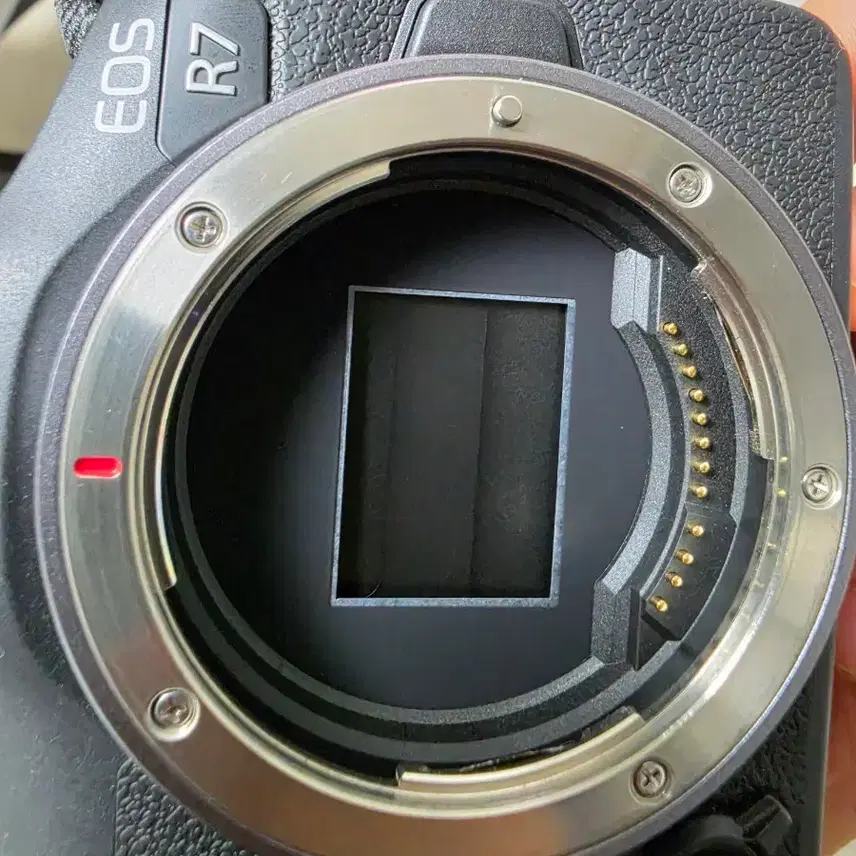 캐논 r7   rfs 18150kit +시그마 56.4 rfs