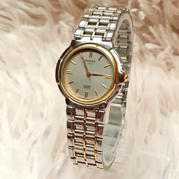 배터리 교환 완료 CITIZEN 엑시드 EXCEED 3침 실버