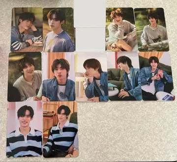 TeeteePor DMD POP UP STORE 트레이딩 카드