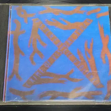X (X JAPAN) - BLUE BLOOD 중고 CD 판매합니다[ | CD/DVD/LP | 번개
