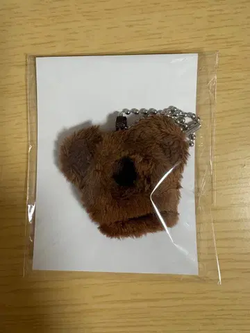 coralhaze 코랄헤이즈 곰 모양 키링 범규