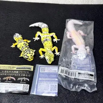 생물대도감 점박이도마뱀붙이 피규어 3개 세트