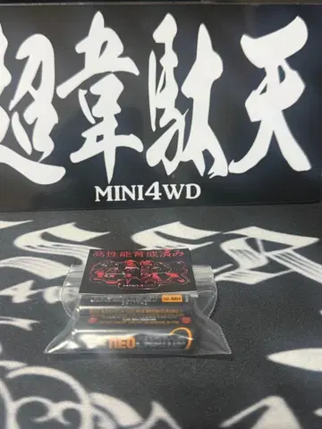 당일 발송 초이데텐 네오챔프 2개 미니 사륜구동