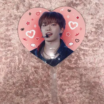 SEVENTEEN 디노 마스터 부채