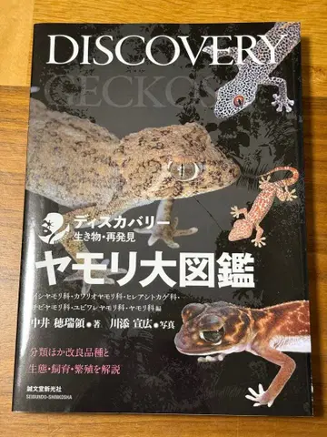 DISCOVERY 도마뱀 대도감