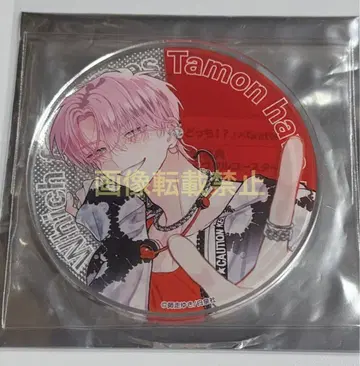 타몬 군 지금 어느 쪽!? 그라테 후쿠하라 타몬