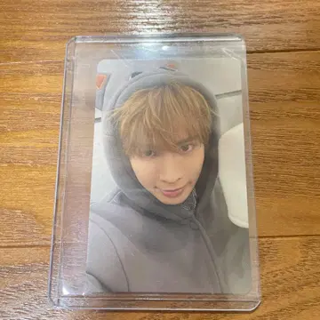 txt 태현 뿔바투 냥 트레이딩 카드