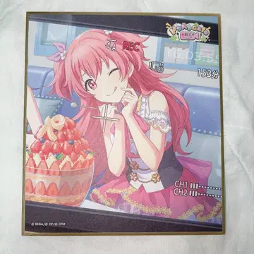 프로세카 색지 모모이 아이리