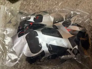 요네즈 켄시 리이슈 고양이 2025 투어