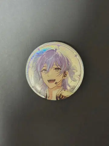 니지페스 캔뱃지 호시미치 쇼