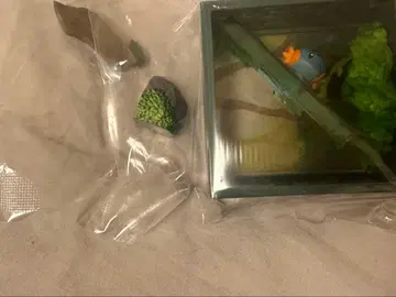 포켓몬 리멘트 짙은 녹색의 숲 미즈고로우