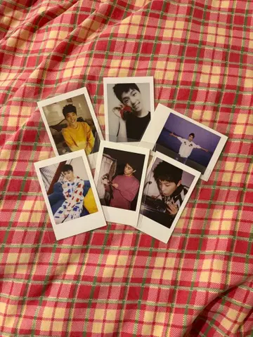 SEVENTEEN 디노 트레이딩 카드