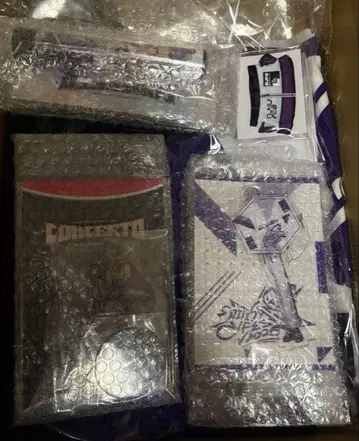 호시미치 쇼 CONCERTO 니지 페스티벌 2026