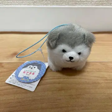 데굴데굴 강아지 모후마루 마스코트 알래스칸 말라뮤트 아기