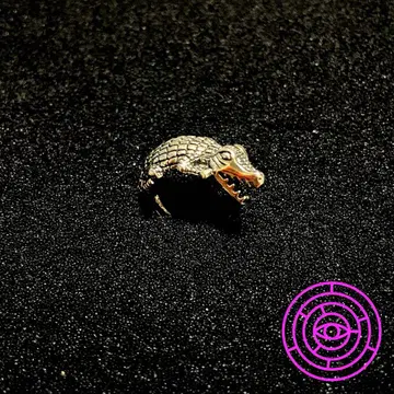 주물 #악어꼬리은환# 기회를 기다려 움켜쥐는 흐름을 정돈하는 기도된 일품