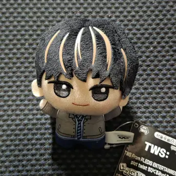 TWS PLEDIS plot twist SD 인형 도훈