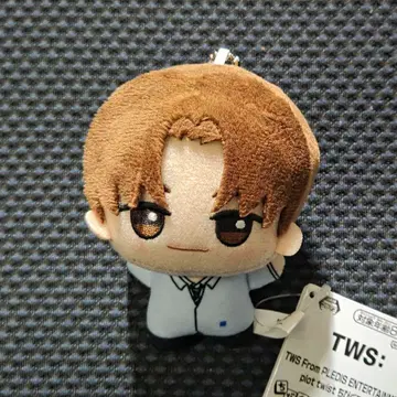 TWS PLEDIS plot twist SD 인형 지훈