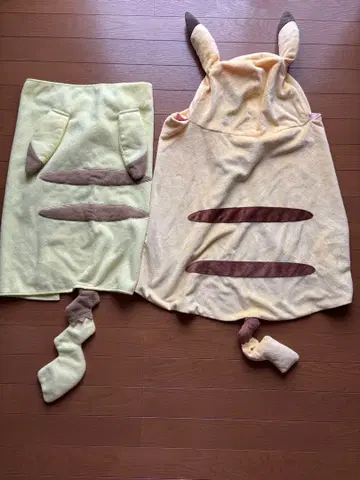포켓몬 제일복권 A상 판초