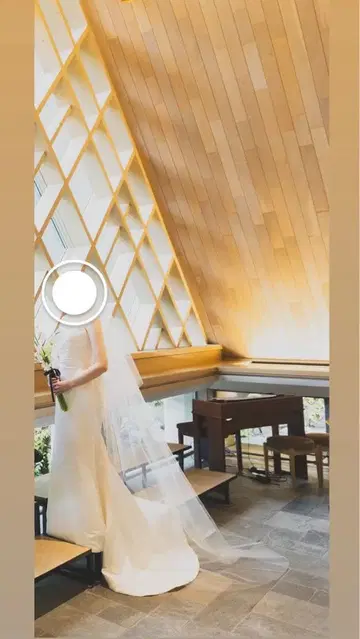 트리트 드레싱 베일 80 x 250 (개더 없음)