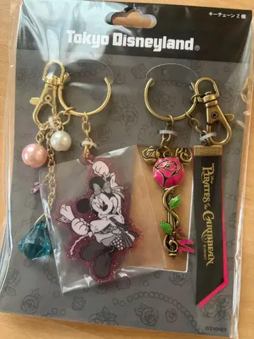 도쿄 디즈니랜드 미니 키체인