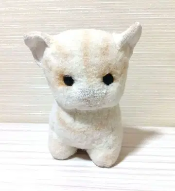 [ 빈티지 ] Lively & Lovely 고양이 봉제 인형