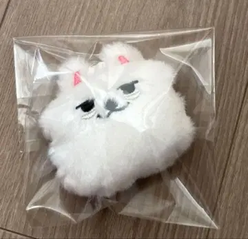 TXT PPULBATU 페이스 키링 용문