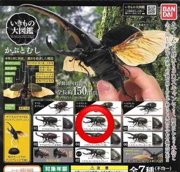 헤라클레스 헤라클레스 (노랑) 생물대도감 투구벌레 새상품 가챠