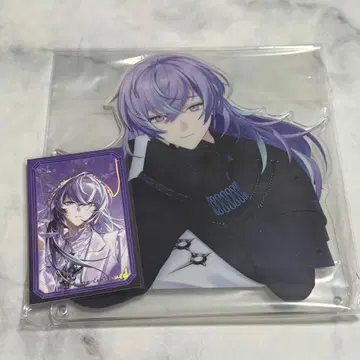 호시미치 쇼 니지산지 Dytica 랜덤 폴라로이드풍 카드 다이컷 패널