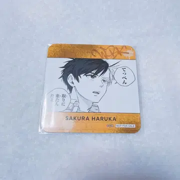 WIND BREAKER 윈브레전 코스터 벚꽃