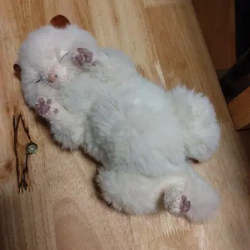 코야노 토모코 자고 있는 고양이 봉제 인형 화이트 고양이 모헤어