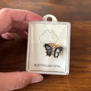 호주산 오팔 나비 핀 배지