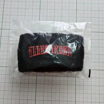 ELLEGARDEN 리스트 밴드