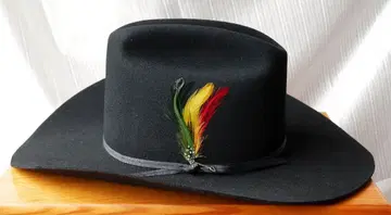 [컨디션 최상/4X BEAVER] STETSON 스테트슨 카우보이 햇