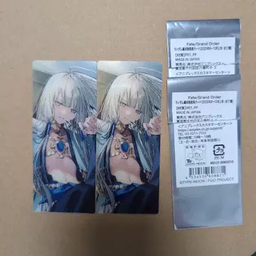 FGO 최종 재림전 편성 화면풍 카드 네모 노아