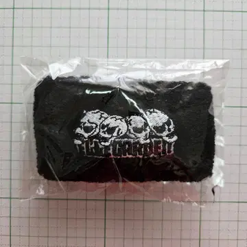 ELLEGARDEN 리스트 밴드 미개봉