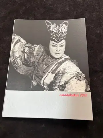 이치카와 사오 바인더