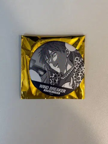 WIND BREAKER 윈브레 윈브레전 캔뱃지 타키이시야