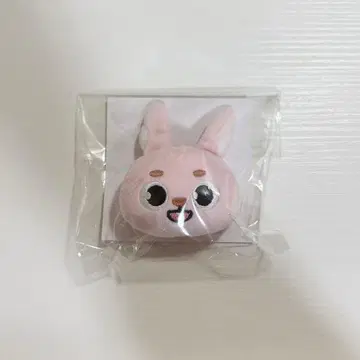 DAY6 원필 봉제 인형 배치