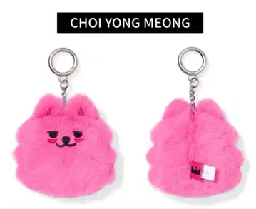 TXT 투바 팝업 뿔바투 페이스 키링 최연준