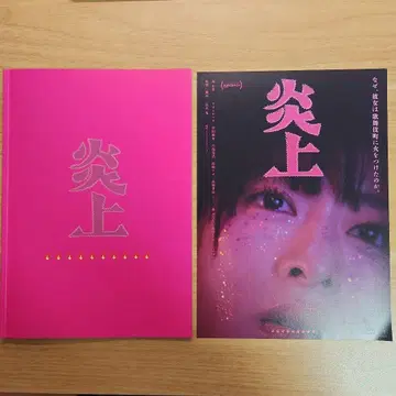 영화 염상 팜플렛 모리 나나 전단지 플라이어