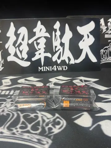 당일 발송 초이데텐 네오챔프 4개 세트 미니 사륜구동