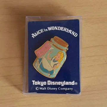 도쿄 디즈니랜드 원더랜드 앨리스 핀 배지 핀즈 앨리스 레트로