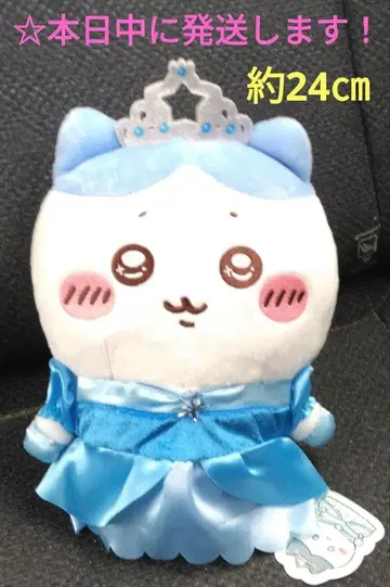 [ 치이카와 프린세스 생일 봉제 인형 [ 하치와레 ] ]