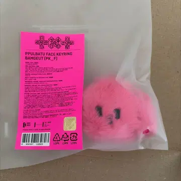 TXT 뿔바투 페이스 키링 범규