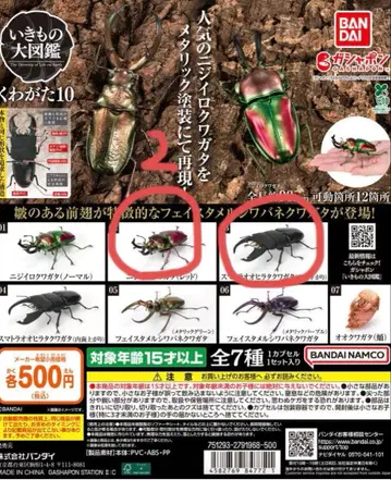 생물대도감 사슴벌레 10