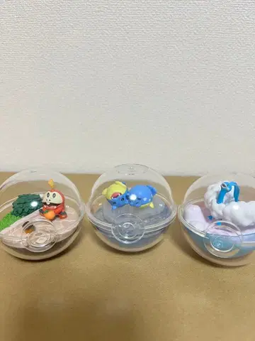 [인기 3종] 포켓몬 테라리움 컬렉션 뜨아거 타마자라시 치르르판