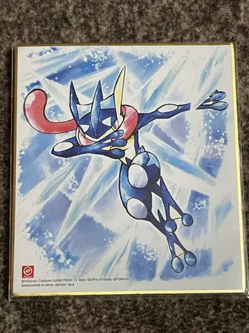 게코가 디자인 색지