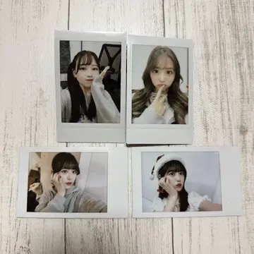 FRUITS ZIPPER 온특 폴라로이드