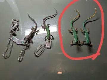 네이처 테크니컬러 NTC 도마뱀과 도마뱀 5개 묶음 판매